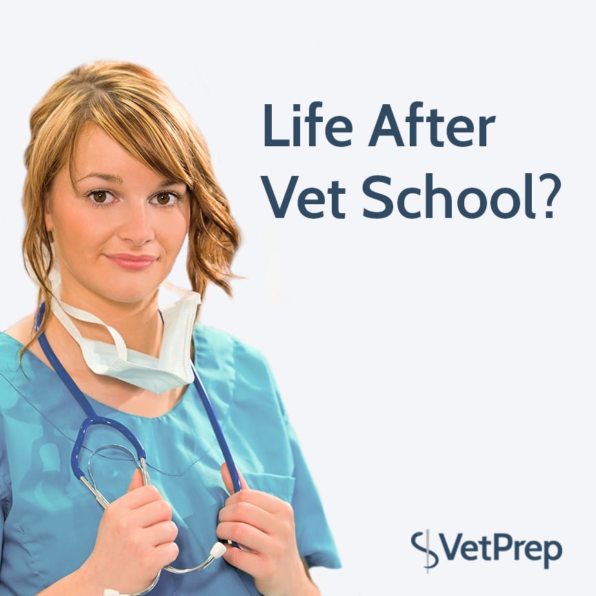 phd after vet school